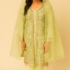 Elegant Lime Green Embroidered Chiffon Suit for Women
