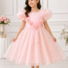 Elegant Pink Floral Party Dress for Girls (04 –12 Years)